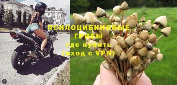 круглые Алексеевка