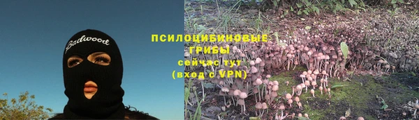 наркотики Абаза