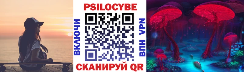 продажа наркотиков  Инта  Псилоцибиновые грибы Psilocybe 